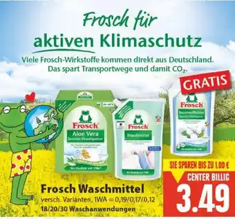 E-Center Frosch Waschmittel Angebot