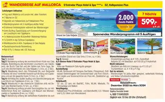 Netto Marken-Discount WANDERREISE AUF MALLORCA S'Entrador Playa Hotel & Spa ****+ DZ, Halbpension Plus Angebot