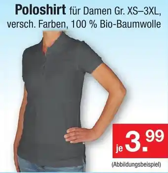 Zimmermann Poloshirt Angebot