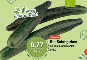 Aktiv Irma Bio Salatgurken Angebot