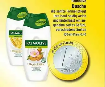 Wasgau Palmolive Dusche Angebot