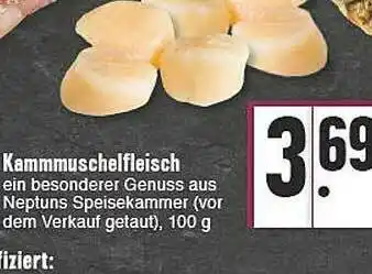 E-Center Kammuschelfleisch Angebot