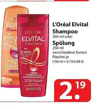 Famila Nord Ost L'oréal Elvital Shampoo Oder Spülung Angebot