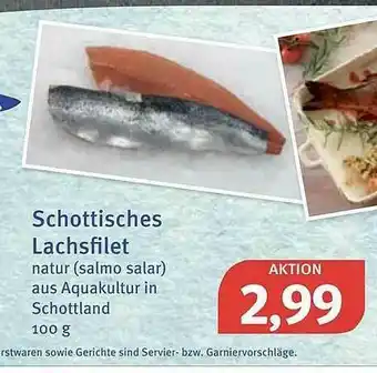 Feneberg Schottisches Lachsfilet Angebot