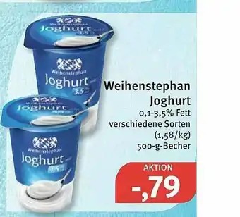 Feneberg Weihenstephan Joghurt Angebot