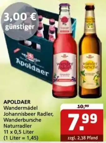 Getränke Quelle APOLDAER Wandermädel Johannisbeer Radler 11 x 0,5 Liter Angebot