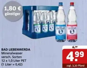 Getränke Quelle BAD LIEBENWERDA Mineralwasser 12 x 1,0 Liter PET Angebot