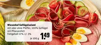 REWE Center Wiesenhof Geflügelsalami 100g Angebot