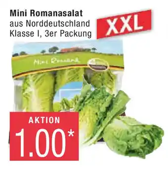 Marktkauf Mini Romanasalat 3er Packung Angebot