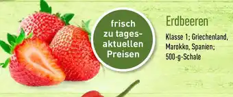 Aldi Nord Erdbeeren 500 g Angebot