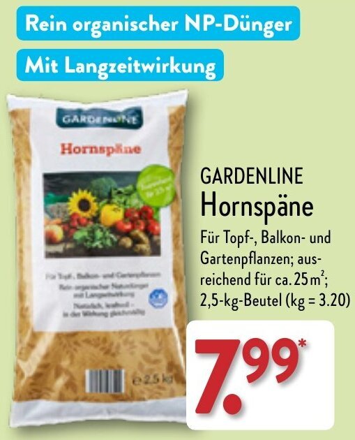 Hornspne Kaufen Aldi