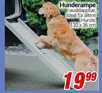 CENTERSHOP Hunderampe Angebot