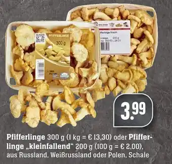 Edeka Neukauf Pfifferlinge 300g oder Pfifferlinge kleinfallend 200g Angebot