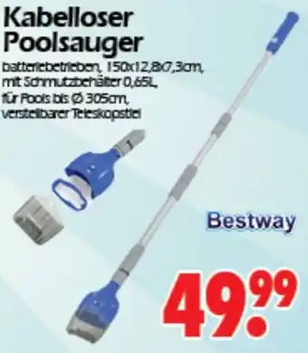 Wreesmann Bestway Kabelloser Poolsauger Angebot