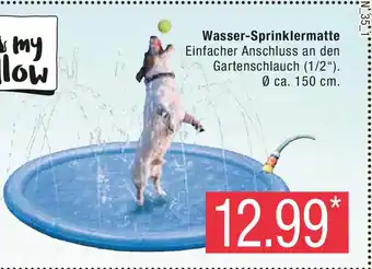 Marktkauf Wasser-Sprinklermatte Angebot