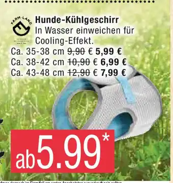 Marktkauf FARM LANO Hunde-Kühlgeschirr Angebot