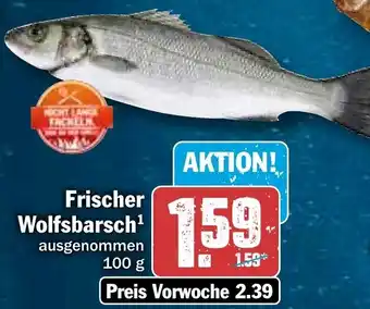 HIT Frischer Wolfsbarsch 100 g Angebot