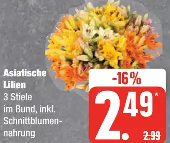 Edeka Asiatische Lilien Angebot