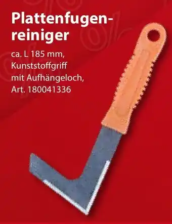 Sonderpreis Baumarkt Plattenfugen-reiniger Angebot