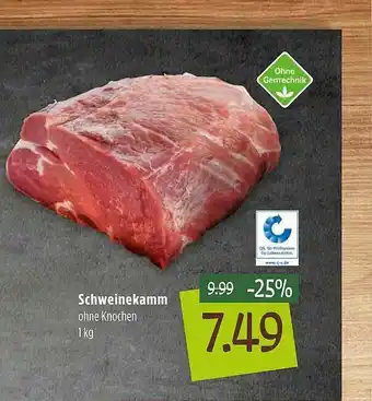 Kupsch Schweinekamm Angebot