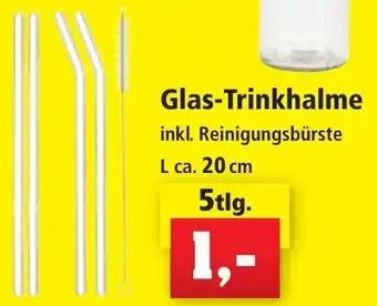 Thomas Philipps Glas-Trinkhalme 5tlg. Angebot