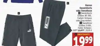 Marktkauf Herren Sweatshorts Oder Sweathose Angebot