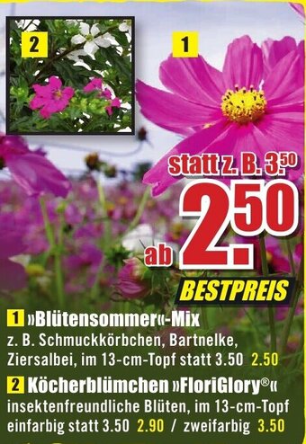 B1 Discount Baumarkt »Blütensommer«-Mix Angebot