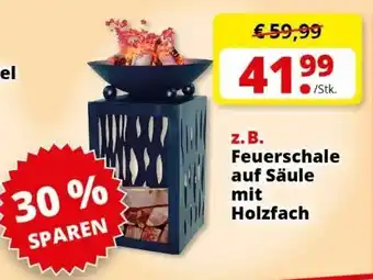 Groschen Feuerschale auf Säule mit Holzfach Angebot