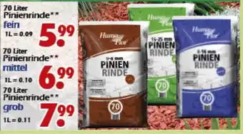 Wreesmann Pinienrinde 70L Angebot