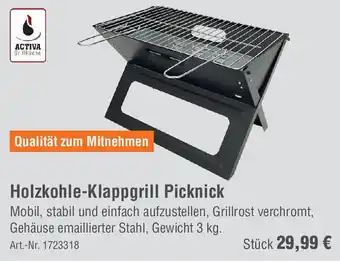 team baucenter ACTIVA Grillküche Holzkohle-Klappgrill Picknick Angebot