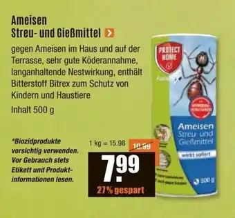 V Baumarkt PROTECT HOME Ameisen Streu- und Gießmittel 500g Angebot