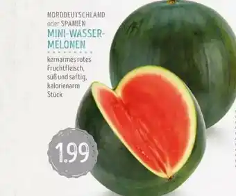 Edeka Struve Mini-wassermelonen Angebot