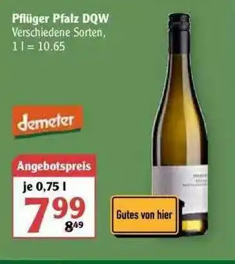 Globus Demeter Pflüger Pfalz DWQ Angebot