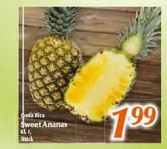 inkoop Costa Rica Sweet Ananas Angebot