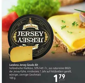 CITTI Markt Landana Jersey Gouda Alt Angebot