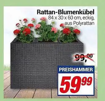 CENTERSHOP Rattan Blumenkübel Angebot