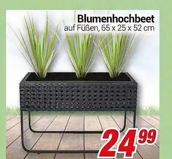 CENTERSHOP Blumenhochbeet Angebot