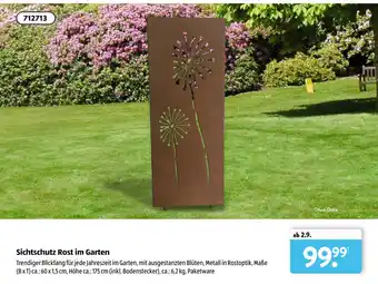 Aldi Süd Sichtschutz Rost im Garten Angebot