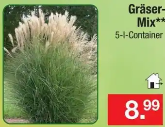 Zimmermann Gräser-Mix Angebot