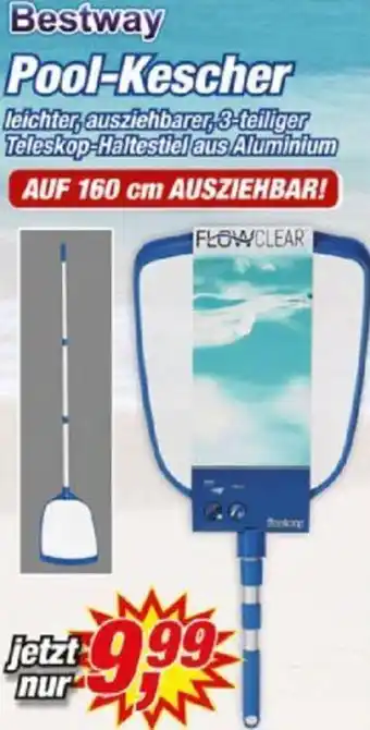 Posten Börse Bestway Pool-Kescher Angebot