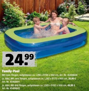 Hagebau Family-Pool Angebot
