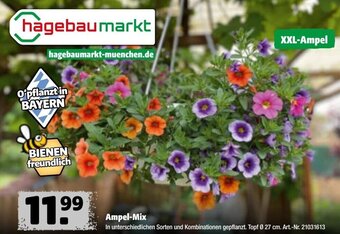 Hagebau Ampel-Mix Angebot