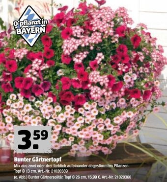 Hagebau Bunter Gärtnertopf Angebot