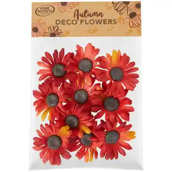 Action Home accents herbstblumen im beutel Angebot