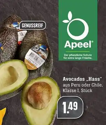 Scheck-in-Center Avocados,,Hass Angebot