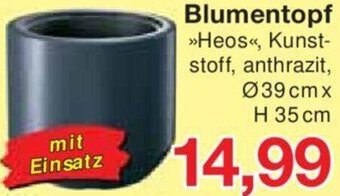 Jawoll Blumentopf Angebot