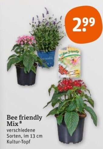 tegut Bee friendly Mix Angebot