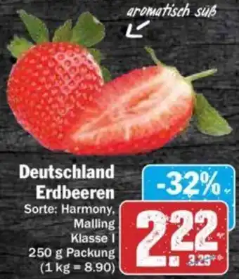 Hit Deutschland Erdbeeren 250 g Packung Angebot