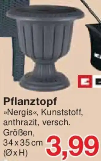 Jawoll Pflanztopf Angebot