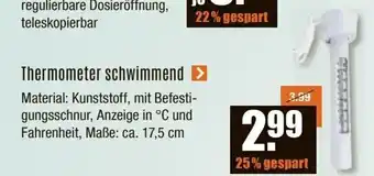 V Baumarkt Thermometer schwimmend > Angebot